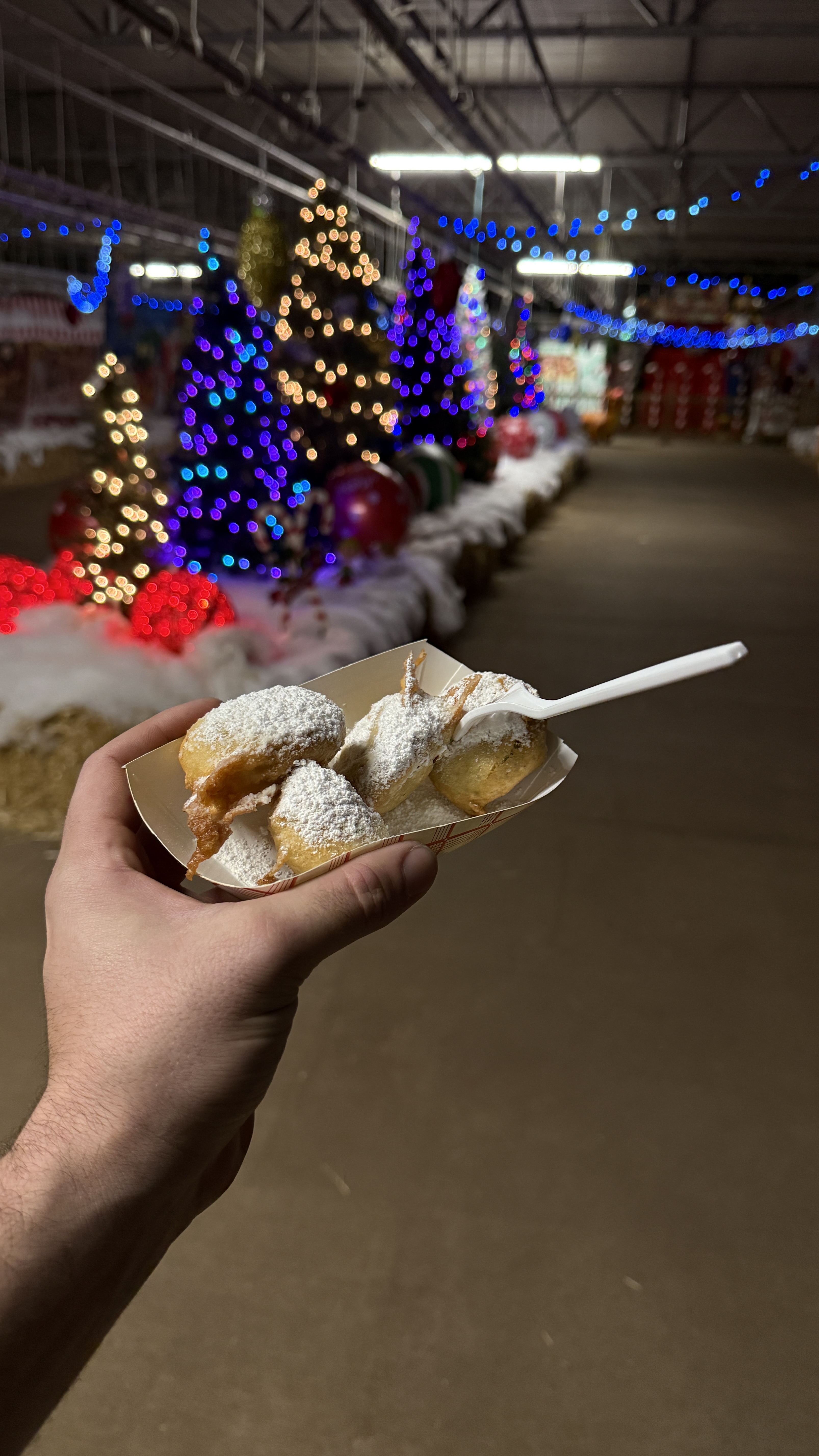 Sweet treats at the farm with colorful holiday lights behind them